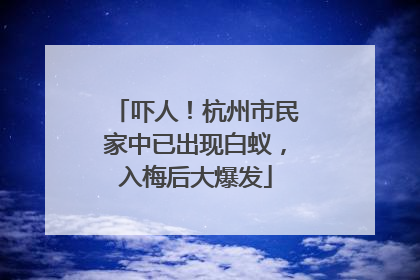 吓人！杭州市民家中已出现白蚁，入梅后大爆发