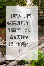 吓人，有蛇藏进汽车引擎盖！北京9天接9起“蛇警”