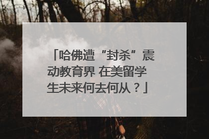 哈佛遭“封杀”震动教育界 在美留学生未来何去何从？