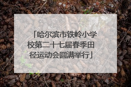 哈尔滨市铁岭小学校第二十七届春季田径运动会圆满举行