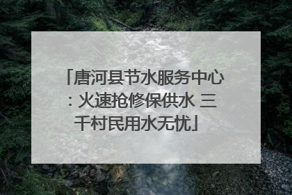 唐河县节水服务中心：火速抢修保供水 三千村民用水无忧
