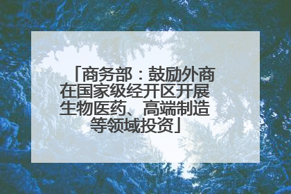 商务部：鼓励外商在国家级经开区开展生物医药、高端制造等领域投资
