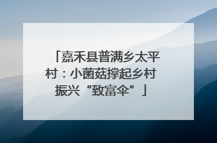 嘉禾县普满乡太平村：小菌菇撑起乡村振兴“致富伞”