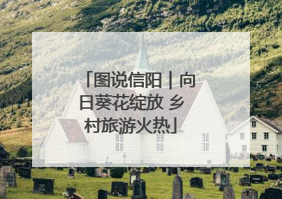 图说信阳｜向日葵花绽放 乡村旅游火热