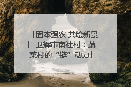 固本强农 共绘新景 ︳卫辉市南社村：蔬菜村的“链”动力