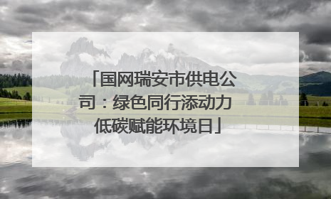国网瑞安市供电公司：绿色同行添动力 低碳赋能环境日