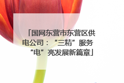 国网东营市东营区供电公司：“三精”服务“电”亮发展新篇章