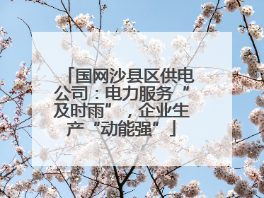 国网沙县区供电公司：电力服务“及时雨”，企业生产“动能强”