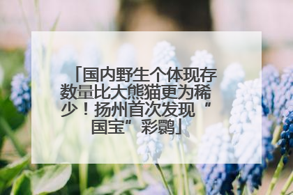 国内野生个体现存数量比大熊猫更为稀少！扬州首次发现“国宝”彩鹮
