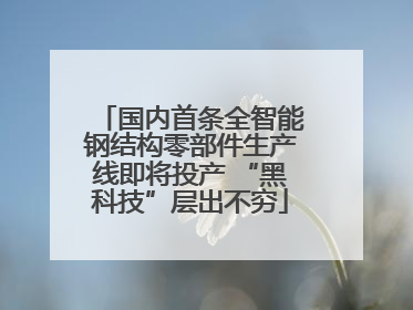 国内首条全智能钢结构零部件生产线即将投产 “黑科技”层出不穷