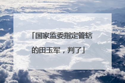 国家监委指定管辖的田玉军，判了