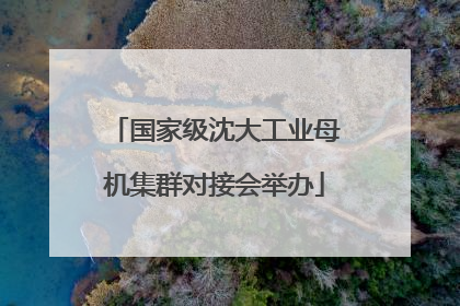 国家级沈大工业母机集群对接会举办