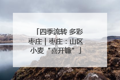 四季流转 多彩枣庄｜枣庄：山区小麦“喜开镰”