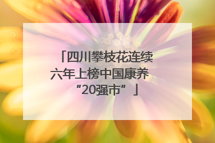 四川攀枝花连续六年上榜中国康养“20强市”