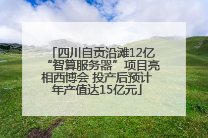 四川自贡沿滩12亿“智算服务器”项目亮相西博会 投产后预计年产值达15亿元