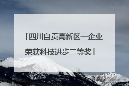 四川自贡高新区一企业荣获科技进步二等奖