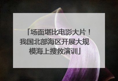 场面堪比电影大片！我国北部海区开展大规模海上搜救演训