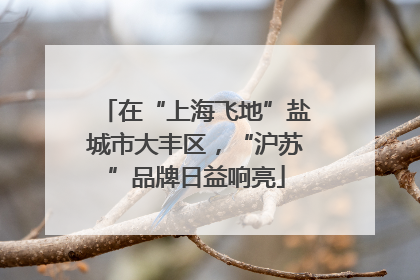 在“上海飞地”盐城市大丰区，“沪苏”品牌日益响亮