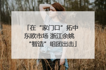 在“家门口”拓中东欧市场 浙江余姚“智造”组团出击