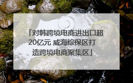 对韩跨境电商进出口超20亿元 威海综保区打造跨境电商聚集区