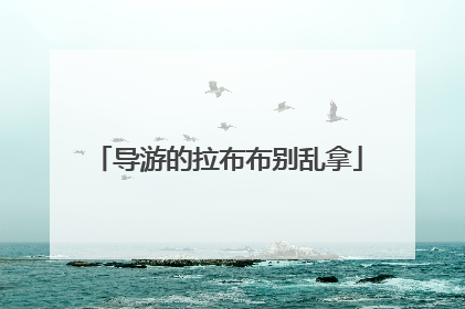 导游的拉布布别乱拿