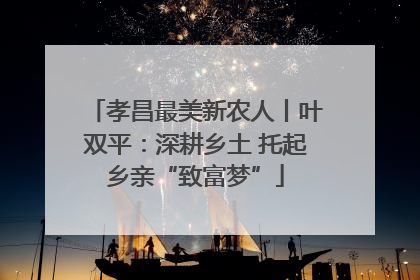 孝昌最美新农人丨叶双平：深耕乡土 托起乡亲“致富梦”
