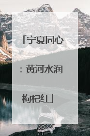 宁夏同心：黄河水润枸杞红
