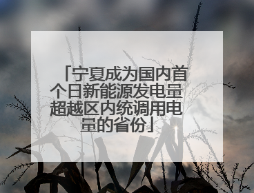 宁夏成为国内首个日新能源发电量超越区内统调用电量的省份