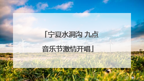 宁夏水洞沟 九点音乐节激情开唱