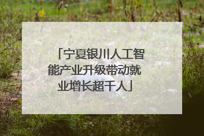 宁夏银川人工智能产业升级带动就业增长超千人