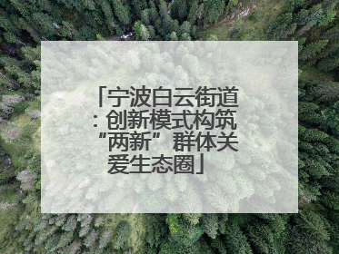 宁波白云街道：创新模式构筑“两新”群体关爱生态圈