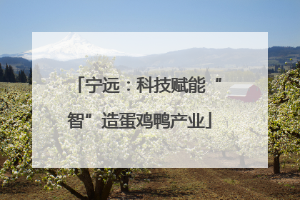 宁远：科技赋能“智”造蛋鸡鸭产业