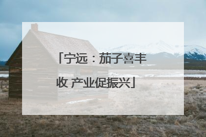 宁远：茄子喜丰收 产业促振兴