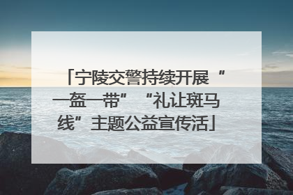 宁陵交警持续开展“一盔一带”“礼让斑马线”主题公益宣传活