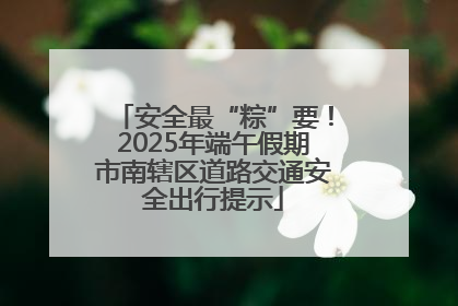 安全最“粽”要！2025年端午假期市南辖区道路交通安全出行提示
