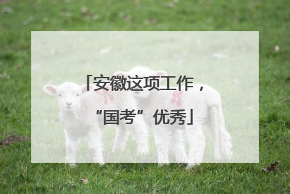 安徽这项工作，“国考”优秀