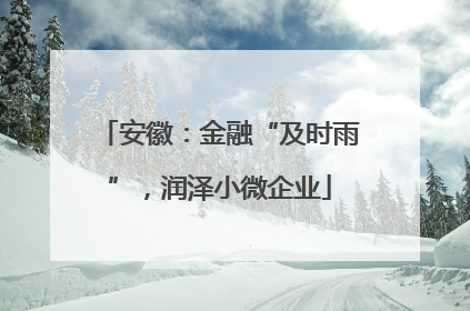 安徽:金融“及时雨”,润泽小微企业
