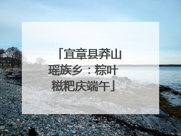 宜章县莽山瑶族乡：粽叶糍粑庆端午