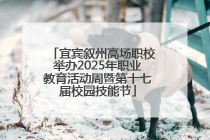 宜宾叙州高场职校举办2025年职业教育活动周暨第十七届校园技能节