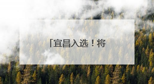 宜昌入选！将获中央财政10亿元资金支持