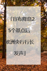 宣布降息25个基点后 欧洲央行行长发声