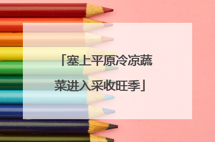 塞上平原冷凉蔬菜进入采收旺季