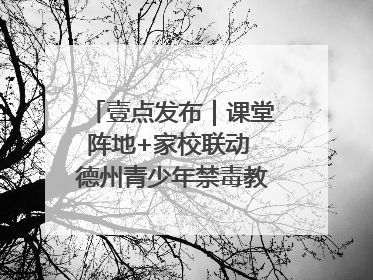 壹点发布｜课堂阵地+家校联动 德州青少年禁毒教育全覆盖