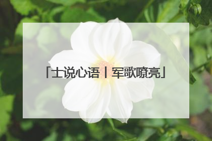士说心语丨军歌嘹亮