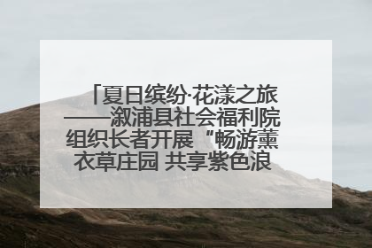 夏日缤纷·花漾之旅——溆浦县社会福利院组织长者开展“畅游薰衣草庄园 共享紫色浪漫”户外活动