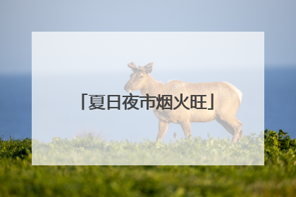 夏日夜市烟火旺