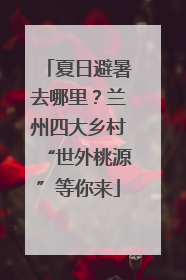 夏日避暑去哪里？兰州四大乡村“世外桃源”等你来