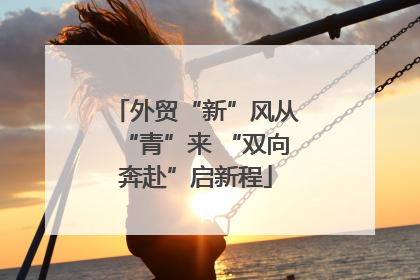 外贸“新”风从“青”来 “双向奔赴”启新程