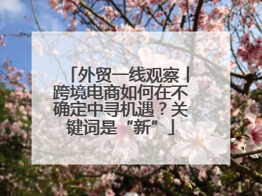 外贸一线观察丨跨境电商如何在不确定中寻机遇？关键词是“新”