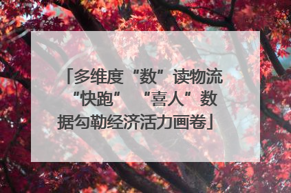 多维度“数”读物流“快跑” “喜人”数据勾勒经济活力画卷